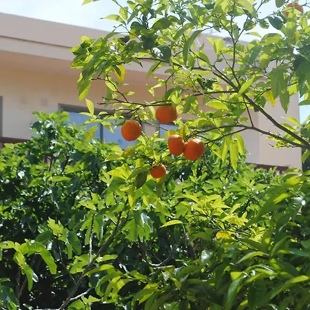 Flacalco & Aparthotel 3*